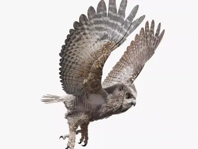 Great Horned Owl - Blender Low-poly 3D model