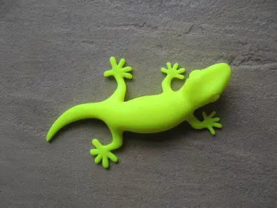 Gecko 3D model