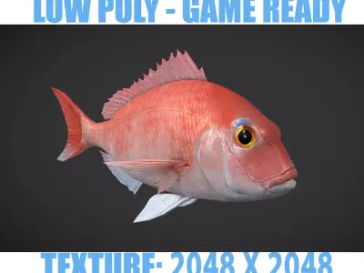 Carp 01 Low-poly 3D model