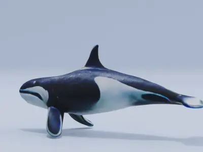 Orca Fish White Shark Low High Poly Low-poly 3D model