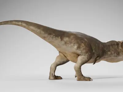 Accurate - Tyrannosaurus rex RIG Low-poly 3D model