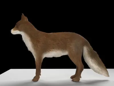 Fox animal Low-poly 3D model