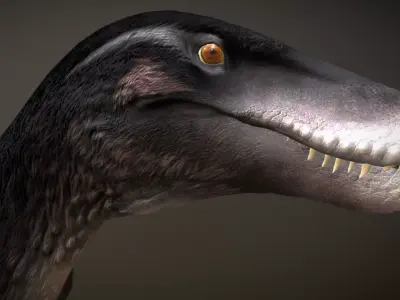 Utahraptor Low-poly 3D model