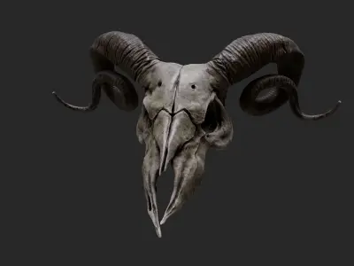 Ram Skull - Lowpoly and Highpoly Low-poly 3D model