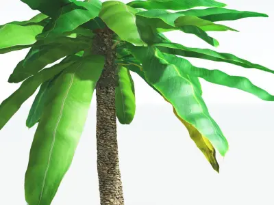 EVERYPlant Bjuvia Cycad 4 --12 Models-- 3D model