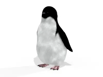 Penguin chick Black and white Fairy bird animal 3D model