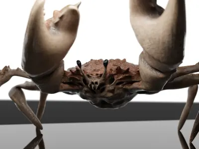 Animated crab 3D model