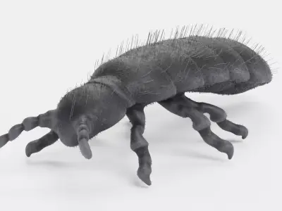 -Snow Flea- 3D model
