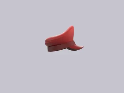 Hat976 3D model