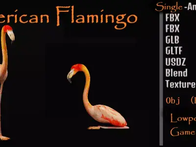 American Flamingo Bird Low-poly 3D model
