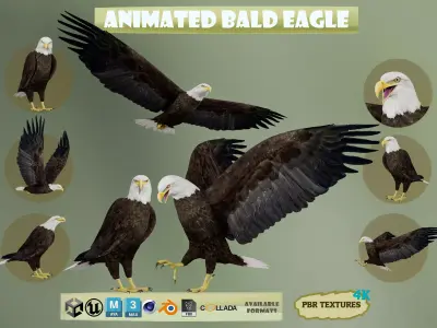 Realistic Animated Bald Eagle Low-poly 3D model
