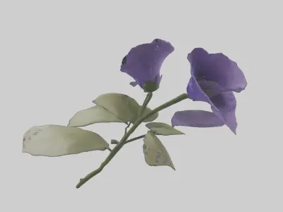 Canterbury Bell model Low-poly 3D model