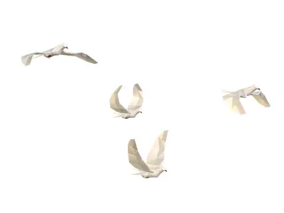 Animated White Doves Lowpoly Art Style Low-poly 3D model