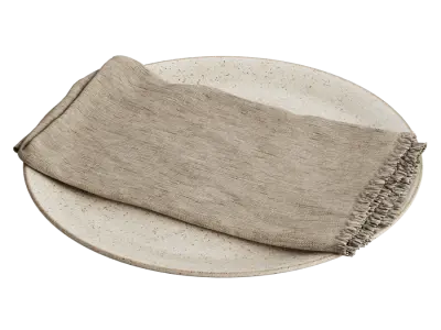  Napkin and Ceramic Plate Model 