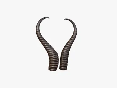 Horn V3 3D model