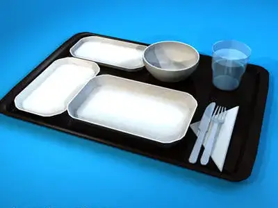 Tray food 3D model
