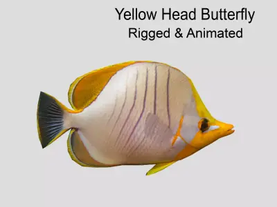 Yellow Head Butterfly fish Low-poly 3D model