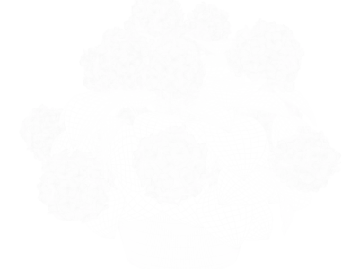  Mophead Hydrangea Plant Model, Blue 