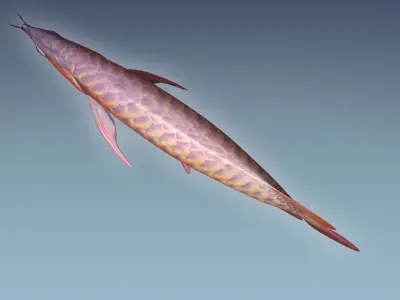 Arowana carp 3D model