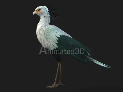 SecretaryBird A2 3D model