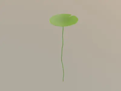 Lotus Leaf 3D model