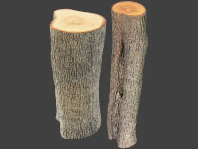 Logs Collection V3 3D model
