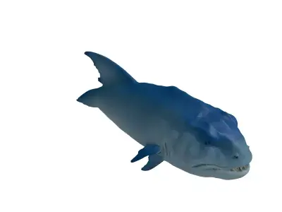 Realistic Barracuda 3D Model Low-poly 3D model