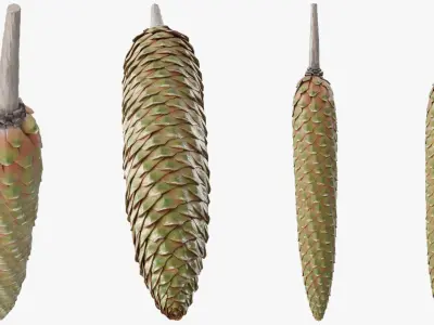 Green Pine Seed Cone 3D model