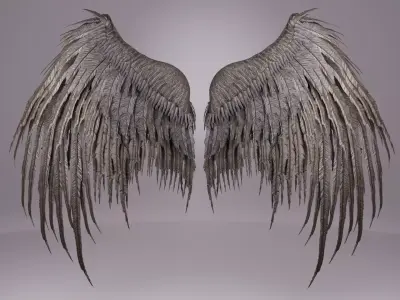 Wings  3D model