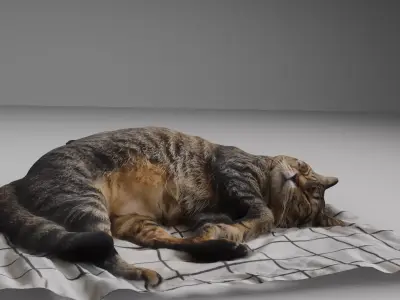 sleeping Cat Low-poly 3D model