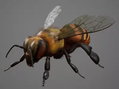 Bee Rig 3D model