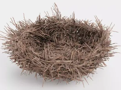 -Nest- 3D model