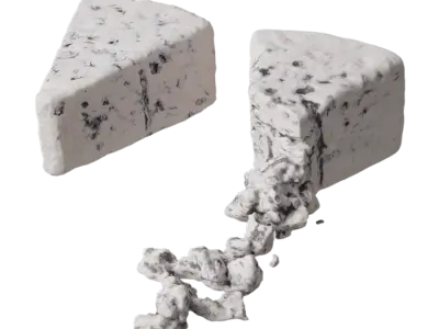  Two Cheese Wedges Food Models, Blue 