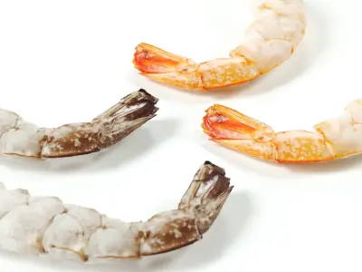 polypasta - shrimp 01 - peeled 3D model