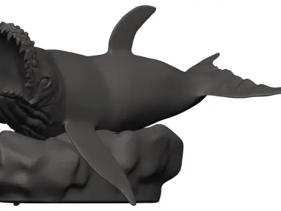 Humback Whale  3D model