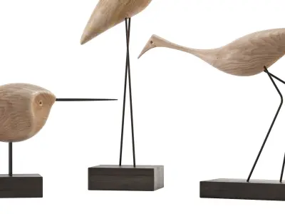 Beak Bird Teak 3D model