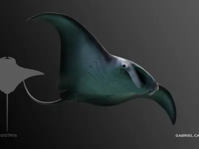 Manta Birostris Low-poly 3D model