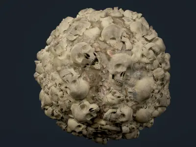 30 Skulls Seamless PBR Texture Pack Texture