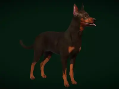 Zwergpinscher Dog Breed Free low-poly 3D model