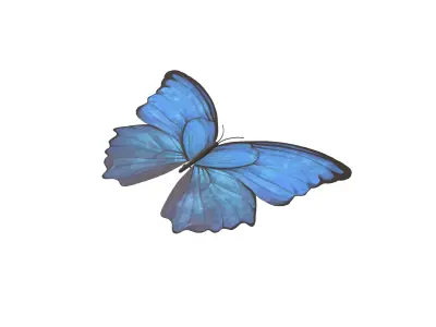 Butterfly v1 001 Low-poly 3D model