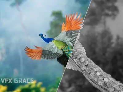 Indian Peafowl Animated VFX Grace 3D model