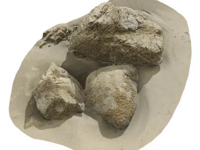  Lichen Covered Beach Rock Cluster Model 