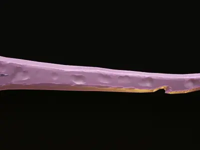 Stylized Dragon Sword Free low-poly 3D model