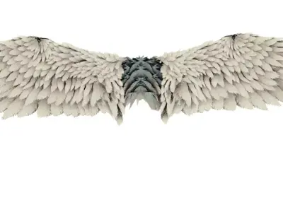 Wing angel 3d model Low-poly 3D model