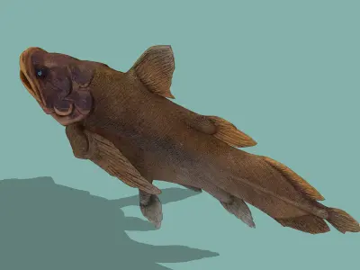 Giant arapaima Low-poly 3D model