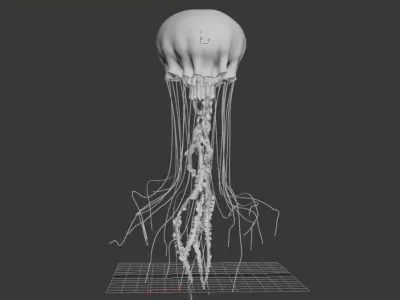 Jellyfish Animated 3D model