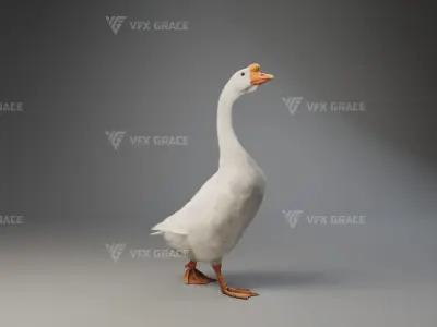 Big White Goose Male Animation - VFX Grace 3D model