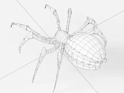 Spider 3d model with legs Low-poly 3D model