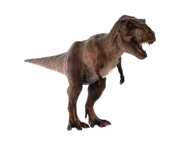 Tyrannosaurus Rex 3D Model  Fully Animated 160 Pro Animations    3D model