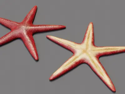 Red Starfish Low-poly 3D model